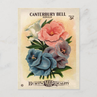 Vintages Canterbury Bells Blume Seed Packet Postkarte