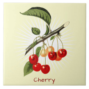 Vintages Cherry Frucht Botanische Keramik Fliese