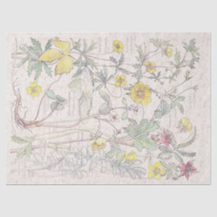 Vintages Cinquefoil-Wildblume-Blumen-Seidenpapier Seidenpapier