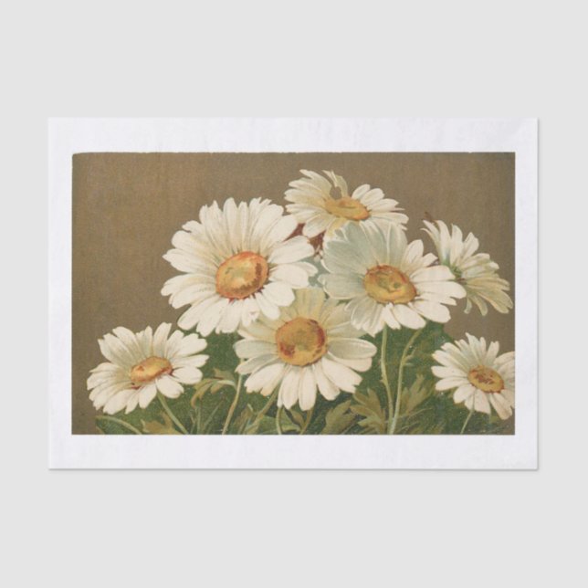 Vintages Daisy Tissue Paper Seidenpapier (Vorderseite)