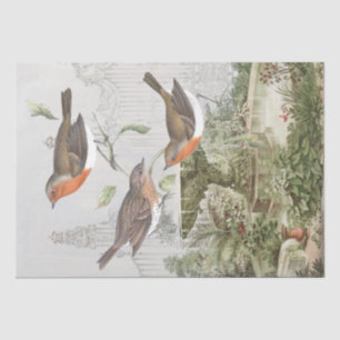 Vintages Dekoupage des Robin Bird Gardens Seidenpapier