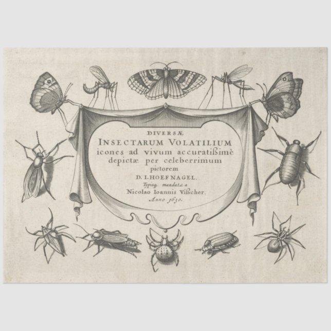 Vintages Dekoupage Tissue Paper Seidenpapier (Vorderseite)