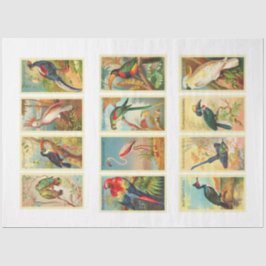 Vintages Dekoupage Tissue Paper zur Sammlung von V Seidenpapier