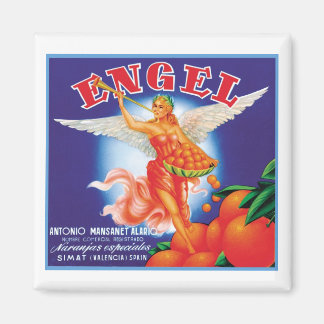 Vintages Engel-Fruchtkäfigetikett Magnet