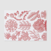 Vintages Ernst Haeckel Seetang-Poster