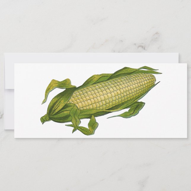 Vintages Essen, gesunde Gemüse, Mais auf dem Cob (Vorderseite)