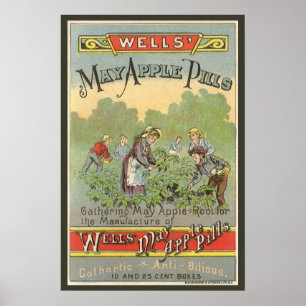Vintages Etikett Art, Wells Mai Appillen Poster