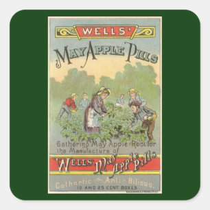 Vintages Etikett Art, Wells Mai Appillen Quadratischer Aufkleber