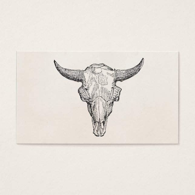 Vintages europäisches Bison-Skull-Antike-Template (Vorderseite)