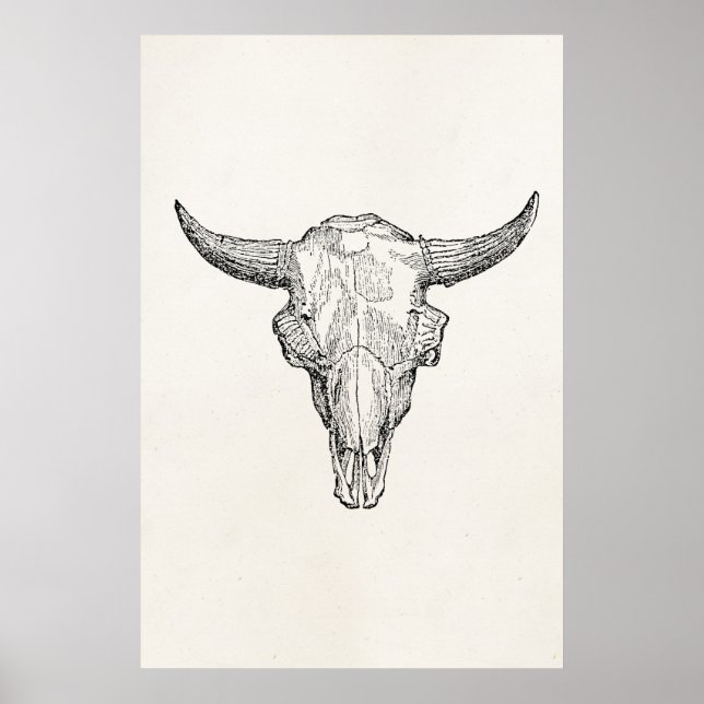 Vintages europäisches Bison-Skull-Antike-Template Poster (Vorne)