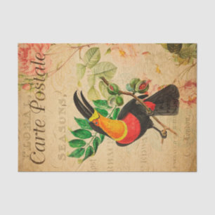 Vintages Exotic Tropical Toucan Bird Floral Seidenpapier
