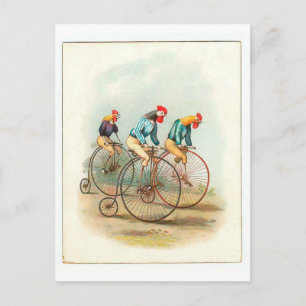 Vintages Fahrradposter, Pennyfarthing Rooster Postkarte