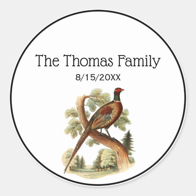 Vintages Fasan Verzweigung mit Zeichnend Bäumen Runder Aufkleber (Vorderseite)