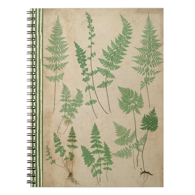 Vintages Fern Botanical Notebook Nature Journal Notizblock (Vorderseite)