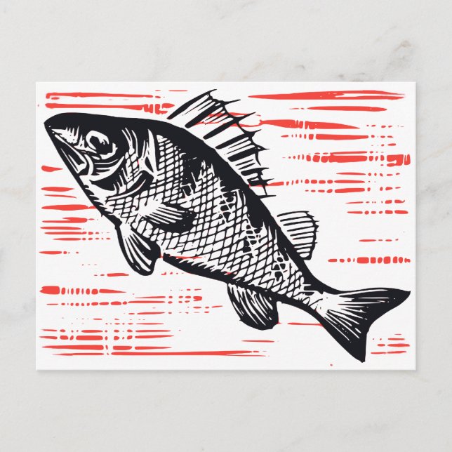 Vintages Fisch Postkarte (Vorderseite)