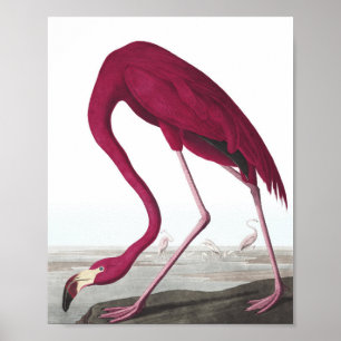 Vintages Flamingo-Poster Poster