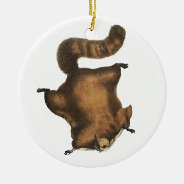 Vintages Fliegen-Eichhörnchen Keramikornament (Vorne)