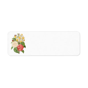 Vintages Floral Camelia Daffodil Blume von Redoute