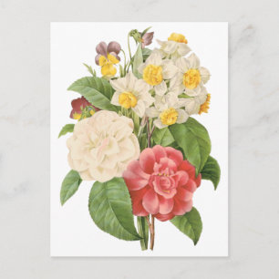 Vintages Floral Camelia Daffodil Blume von Redoute Postkarte