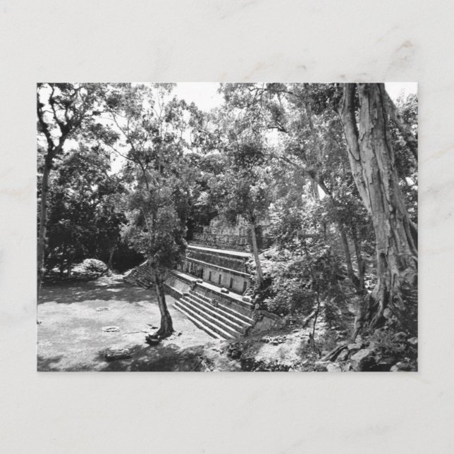 Vintages Foto der Maya-Ruinen von Honduras Postkarte (Vorderseite)