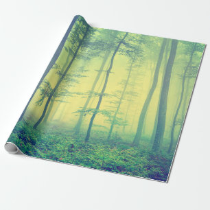 Vintages Foto des nebeligen Quellwaldes. Geschenkpapier