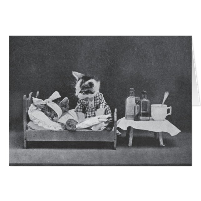 Vintages Foto - immer dem Hund die Schuld geben, (Vorderseite (Horizontal))