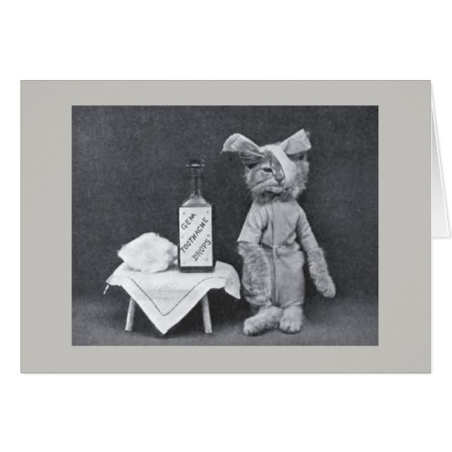 Vintages Foto - Kätzchen mit einer Zahnschmerzen, (Vorderseite (Horizontal))