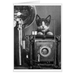 Vintages Foto - Katze mit Kamera