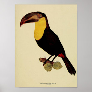 Vintages Foto Poster