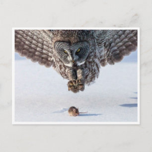 Vintages Foto Postkarte