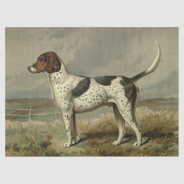 Vintages Foxhound-Gewebe Seidenpapier (Vorderseite)