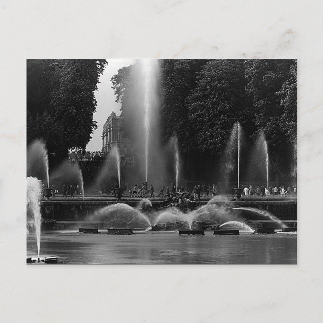 Vintages Frankreich Versailles Palast Neptune Brun Postkarte (Vorderseite)