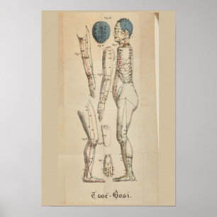 Vintages Französisch 1825 Akupunktur Meridian Punk Poster
