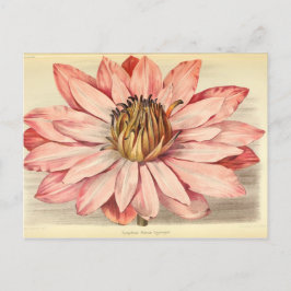 Vintages Französisch-Floral Ephemere Decoupage Pin Postkarte