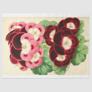 Vintages Französisch Floral Ephemere Decoupage Pin Seidenpapier