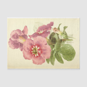 Vintages Französisch-Floral Ephemere Decoupage Pin Seidenpapier
