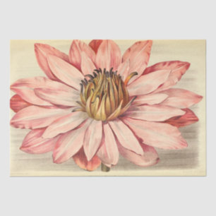 Vintages Französisch Floral Ephemere Decoupage Pin Seidenpapier