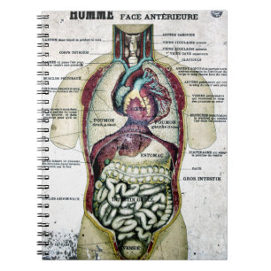 Vintages französisches Anatomie-Notizbuch Notizblock