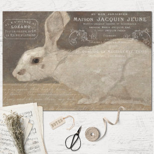 Vintages Französisches Kaninchen und Ephemera Deco Seidenpapier
