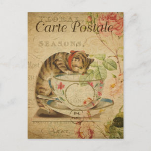 Vintages Französisches Katzen trinken aus Tea Cup Postkarte