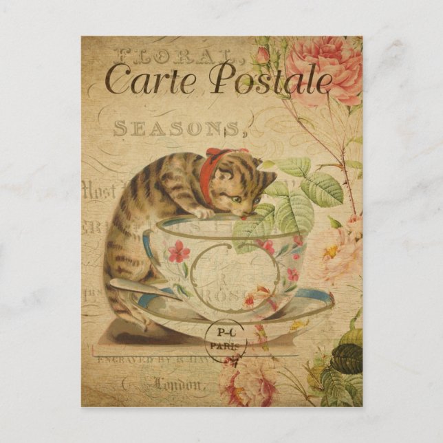 Vintages Französisches Katzen trinken aus Tea Cup Postkarte (Vorderseite)