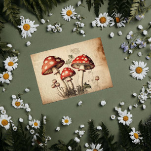 Vintages französisches Mushroom Page Decoupage Seidenpapier