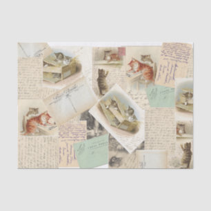 Vintages französisches Postkartenpapier Seidenpapier