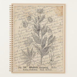 Vintages französisches Skript Hellebore Botanisch Planer