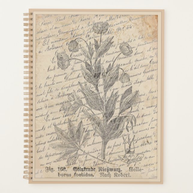Vintages französisches Skript Hellebore Botanische Planer (Vorderseite)