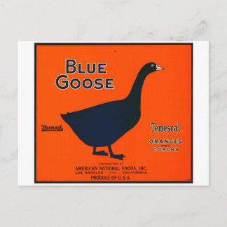 Vintages Fruchtetikett Postkarte