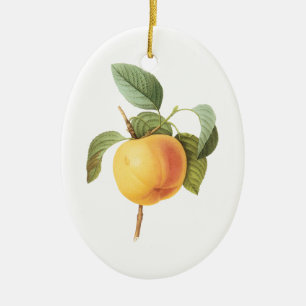 Vintages Fruchtfutter, Calville Apple von Redoute Keramik Ornament