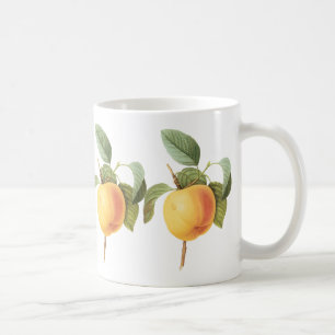 Vintages Fruchtfutter, Calville Apple von Redoute Tasse