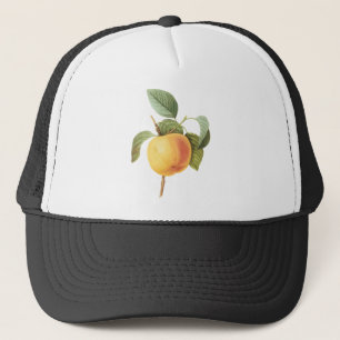 Vintages Fruchtfutter, Calville Apple von Redoute Truckerkappe