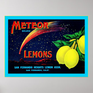 Vintages Fruchtkäfigetikett Poster